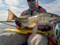 26" Redfish on 20240422